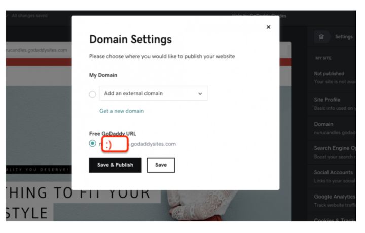 godaddy domain settings