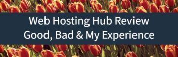 Web Hosting Hub Review (2024) – A No-Nonsense Host