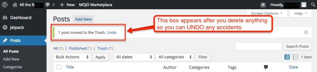 WordPress Undo Post Deletion
