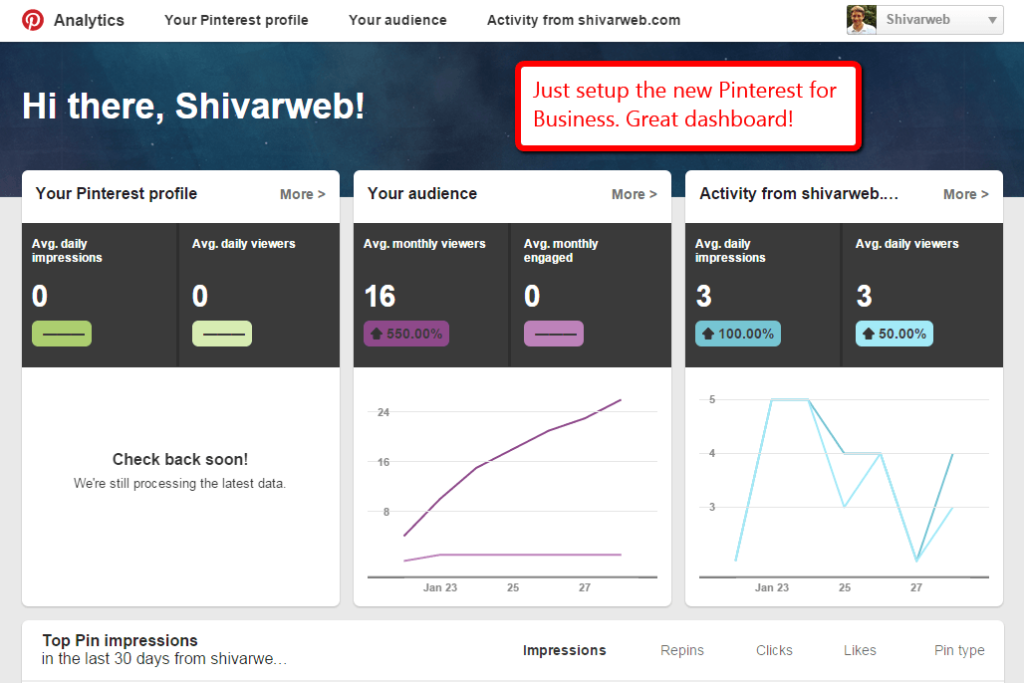 Pinterest Brand Monitoring