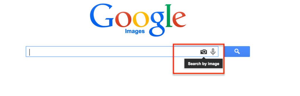 Google Search by Image