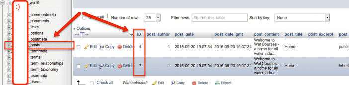 Post ID in phpmyadmin