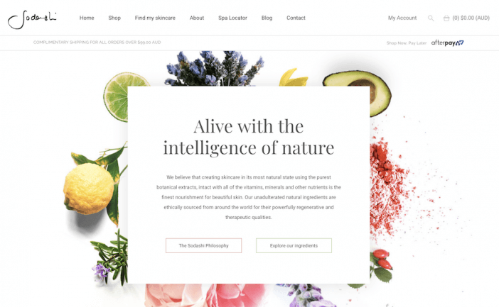 Sodashi ecommerce website example