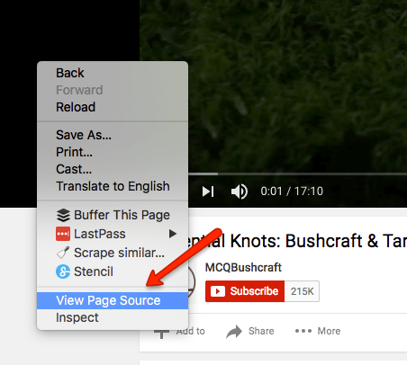 YouTube View Source